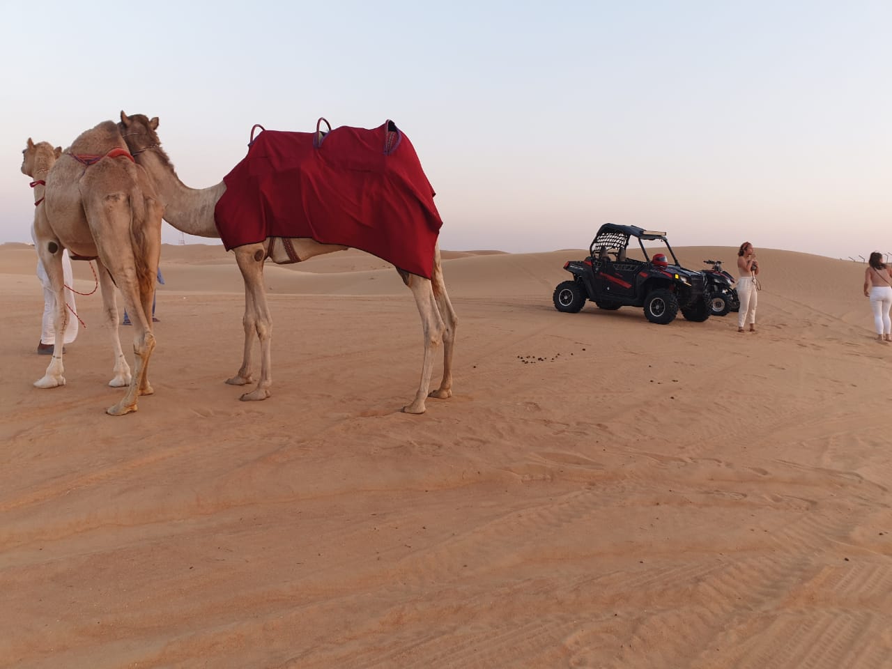 desert safari dubai