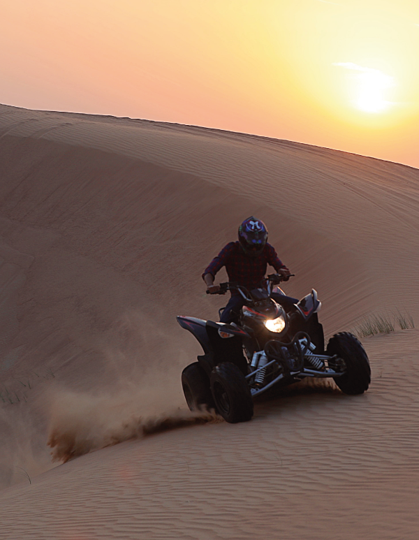 Morning safari in dubai